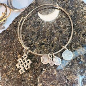 Alex and Ani Silver Charm Bracelet